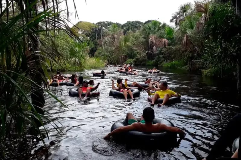 Boias no Rio Formiga entre as árvores, perto de Barreirinhas