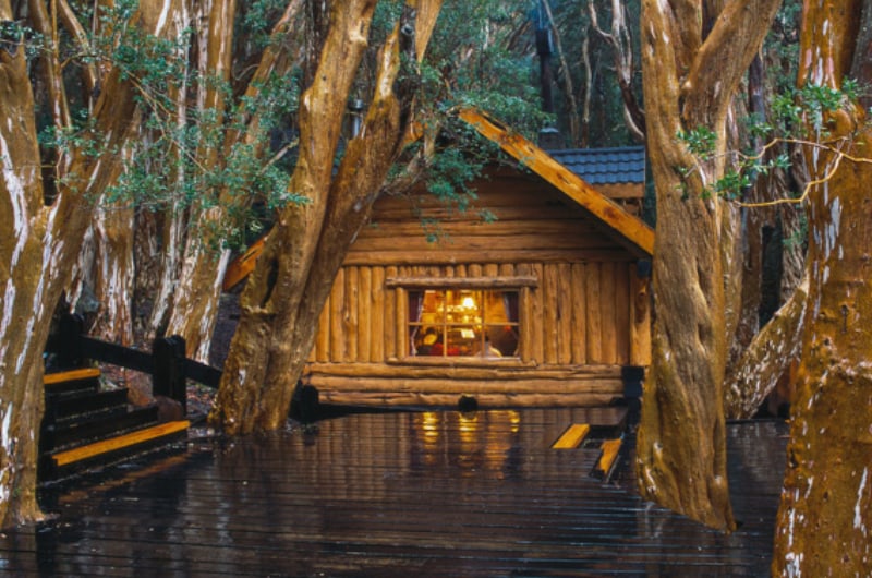Casa de madeira entre os troncos alaranjados do Bosque de Arrayanes, perto de Bariloche