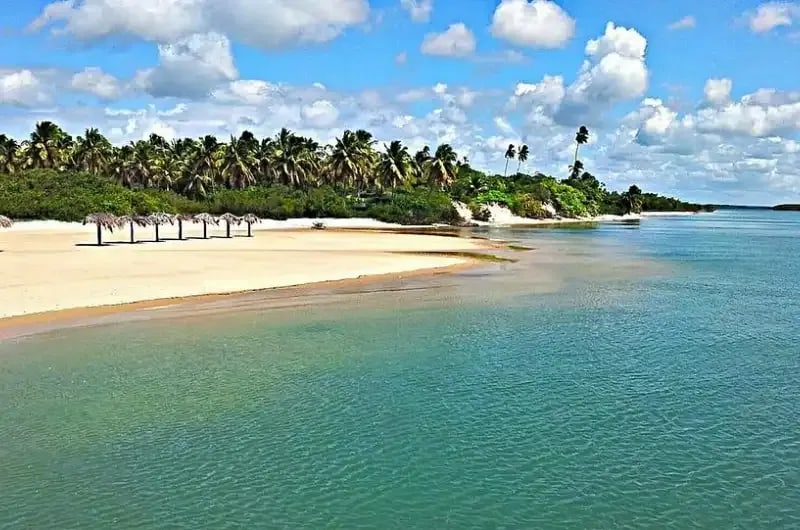 Faixa de areia e coqueiral na Barra do Cunhaú, em Canguaretama