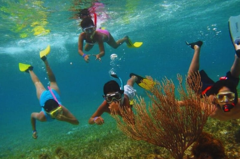 Família fazendo snorkel entre corais em San Andrés