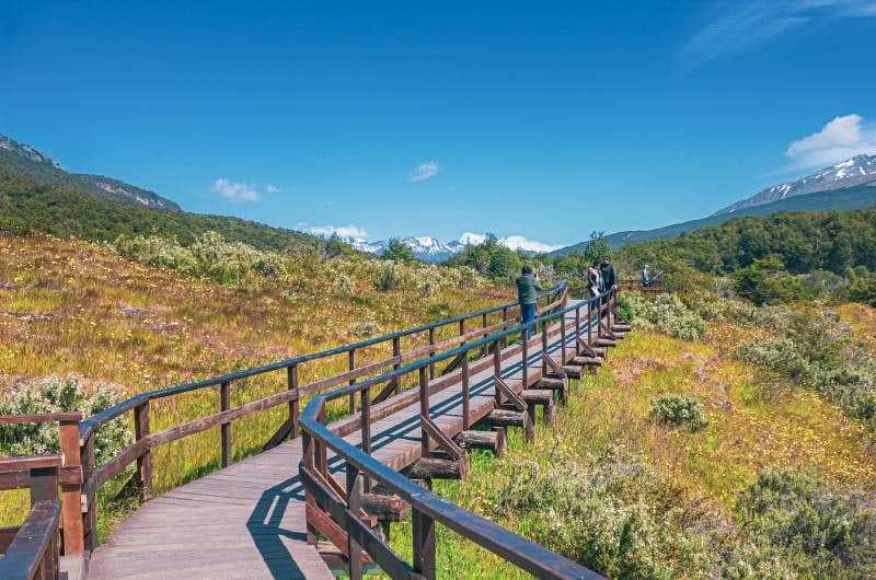Passarela de madeira no Parque Nacional Tierra del Fuego no verão