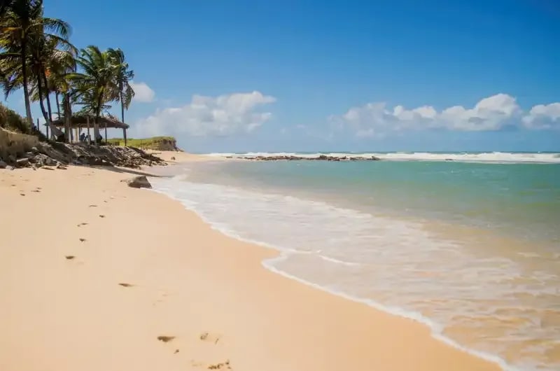 Praia de areia branca com coqueiros na Barra do Cunhaú