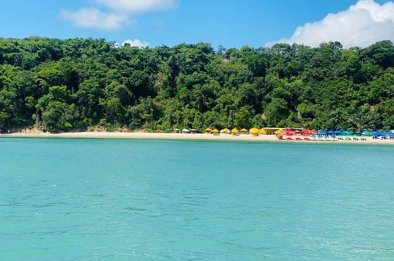 Praia de Pipa com mar verde e falésias cobertas de mata