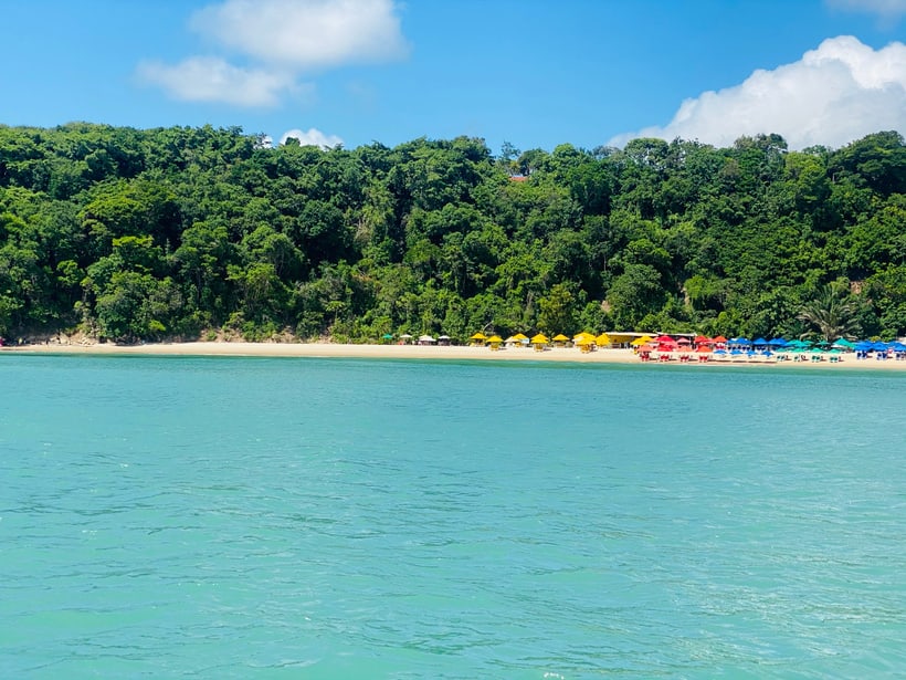 Praia do Madeiro com mar verde e mata atrás da areia, em Pipa