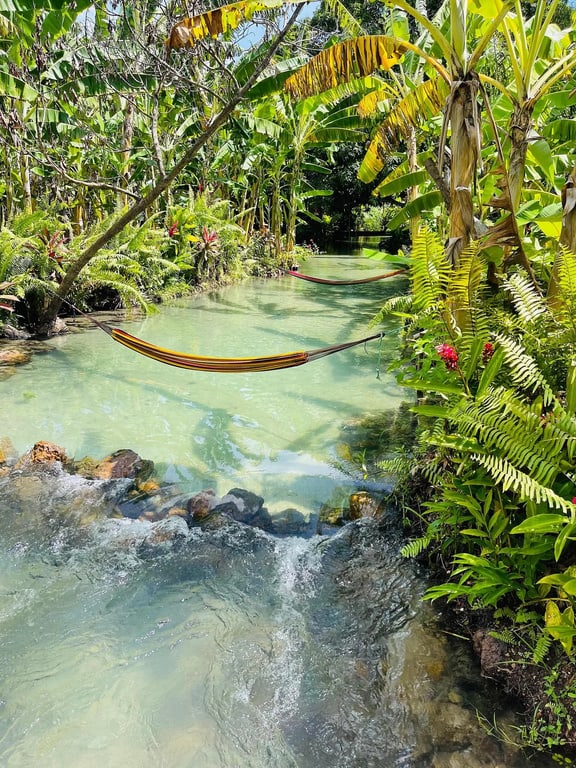 Rio Catolé de água cristalina entre a vegetação, no litoral norte de Natal