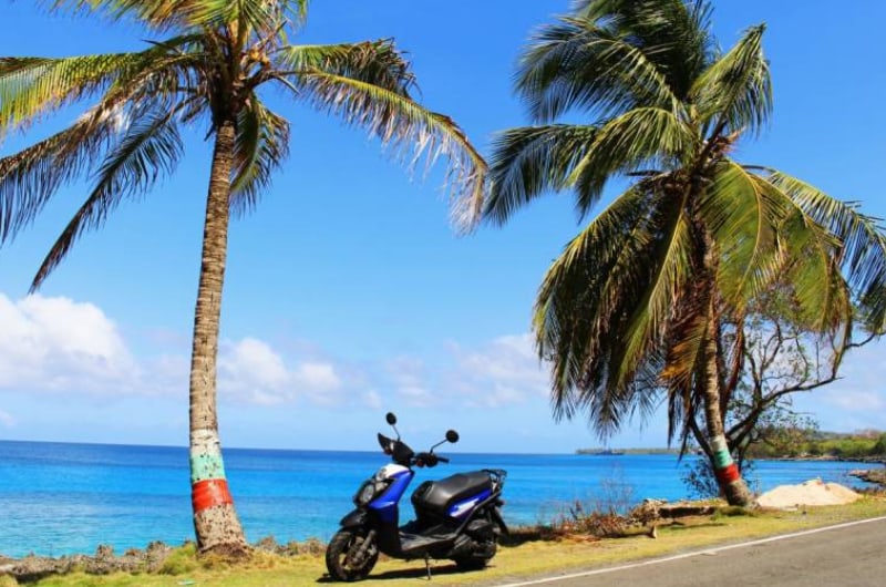 Scooter estacionada entre coqueiros à beira-mar em San Andrés