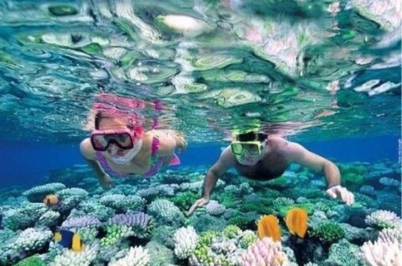 Snorkel sobre os corais coloridos da barreira de San Andrés