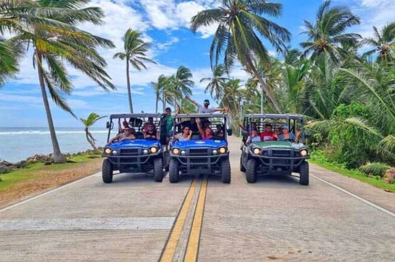 Três mules na estrada entre coqueiros em San Andrés