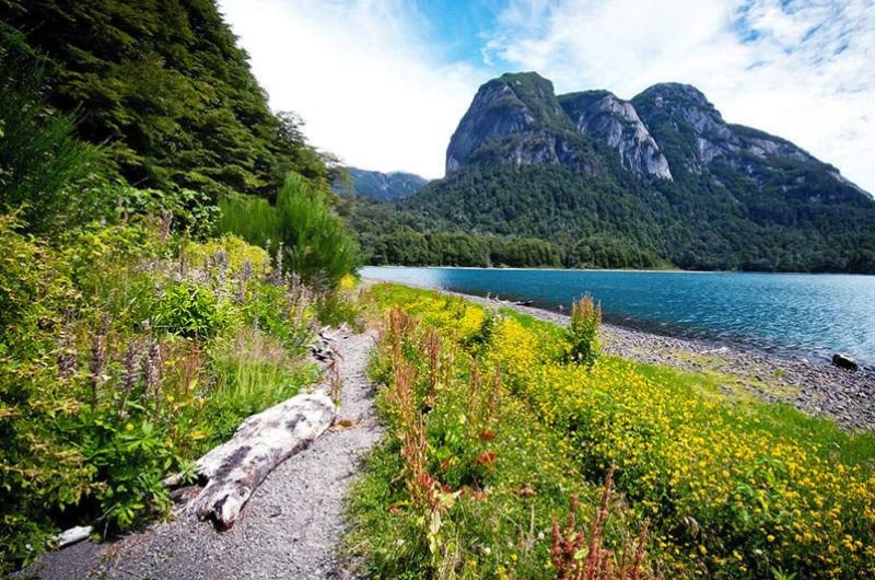 Trilha com flores à beira de lago verde na região de Puerto Blest