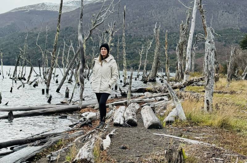 Viajante entre árvores derrubadas pelos castores junto a laguna congelada