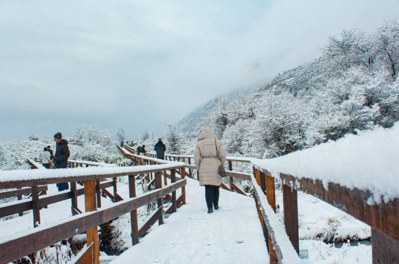 Viajante em passarela nevada no Parque Nacional Tierra del Fuego