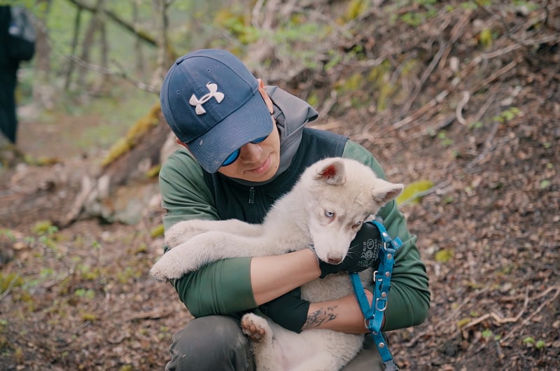 Visitante abraçando um filhote de husky em Ushuaia