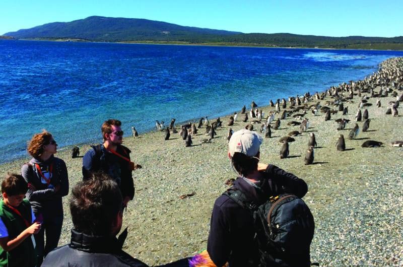 Visitantes caminhando na praia com a colônia de pinguins da Ilha Martillo