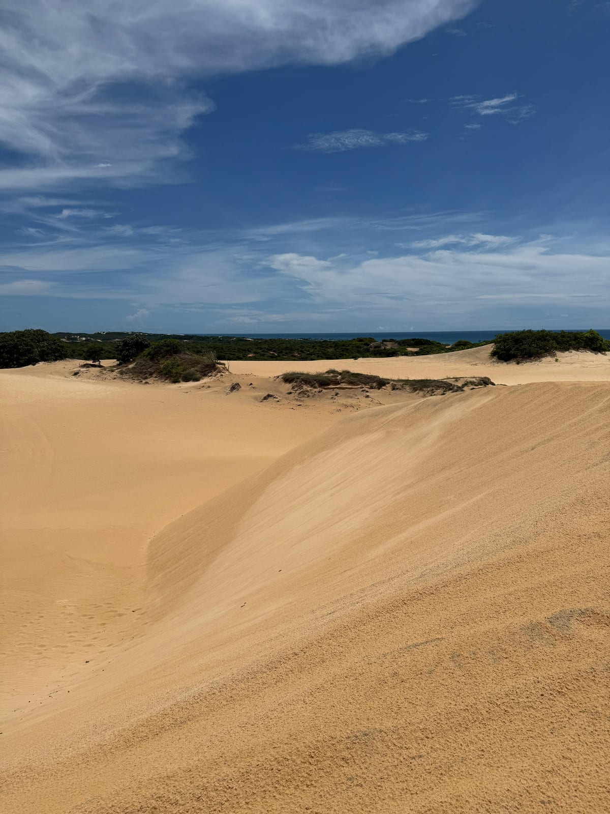 Dunas de areia dourada sem nenhuma sombra sob o céu azul, com vegetação baixa e o mar no horizonte