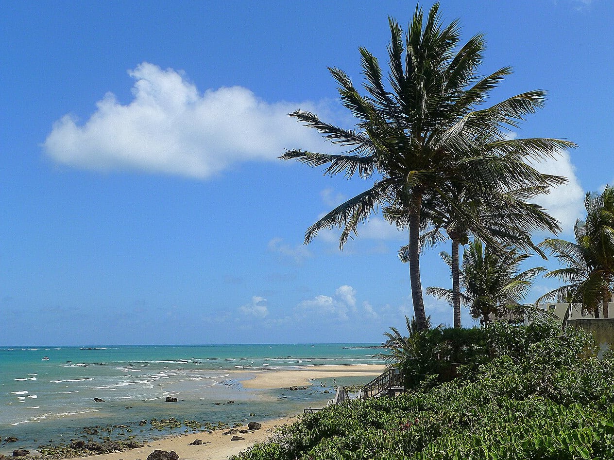 Praia de Pirangi do Norte com coqueiros, mar verde-claro e recifes aparecendo perto da areia