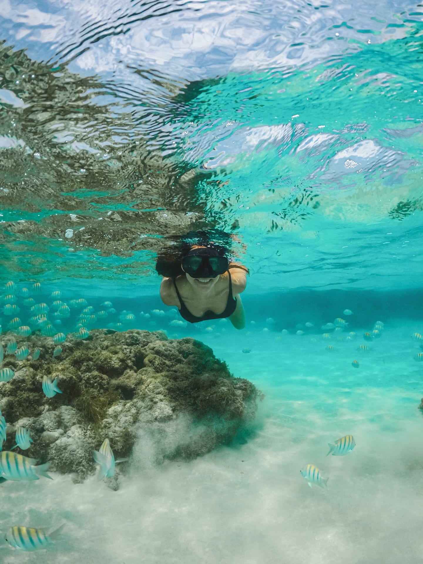 Viajante de snorkel nadando sobre os corais na água azul-turquesa dos parrachos de Perobas, em Rio do Fogo