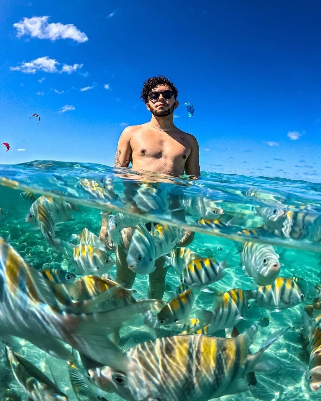 Viajante com a água pela cintura numa piscina natural, com um cardume de peixes listrados aparecendo embaixo da água
