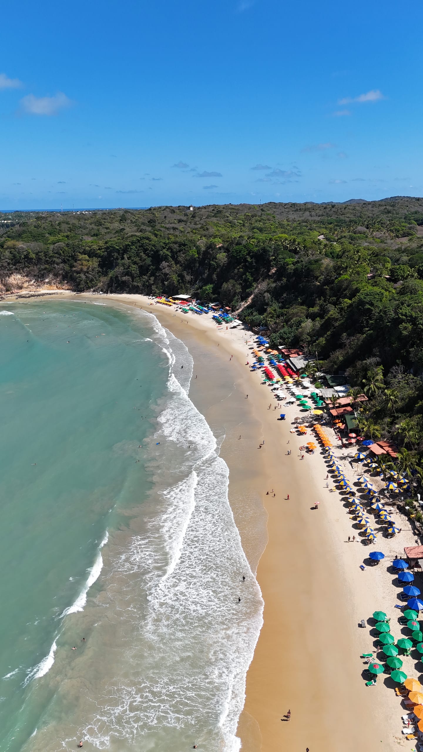Vista aérea de uma praia de Pipa, com o mar verde, a faixa de areia, barracas coloridas e a mata em cima da falésia